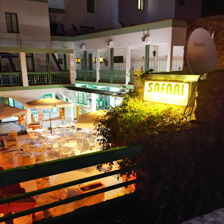 Bar Safari